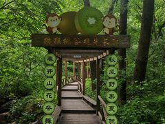 -大岭沟猕猴桃谷风景区