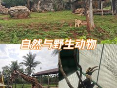-海南热带野生动植物园