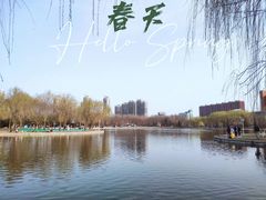 -泰丰公园