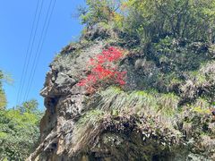 -夏霖九天银瀑风景区