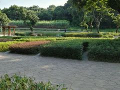 -天河儿童公园