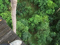 -清迈丛林飞跃 JungleFlight