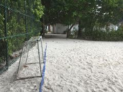 小型足球场-蓝色美人蕉岛