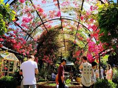 -The Grounds of Alexandria