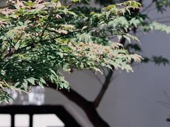-知亘茶食