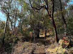 -青龙山国家森林公园