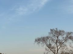 -嘉北郊野公园