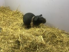 -昆明大悦城未来动物城(螺蛳湾中心店)