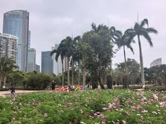 -万绿园