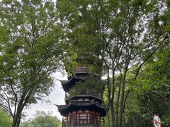 -上海佘山国家森林公园西佘山园