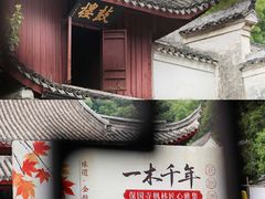 -宁波市保国寺古建筑博物馆