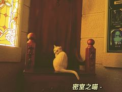 -逃脱反斗城沉浸剧情密室(北京路店)