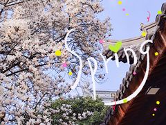 -龙华寺