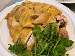 正宗湛江鸡-瑞记湛江鸡饭店·粤西第一鸡(粤垦店)