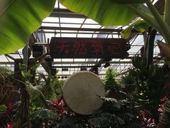 -北京呀路古热带植物园