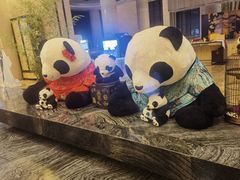 -成都保利公园皇冠假日酒店(熊猫基地店)