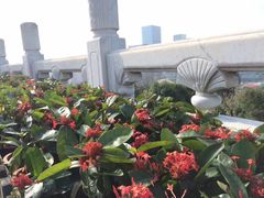 -荔枝公园-小平画像广场