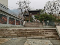 -阳台山自然风景区