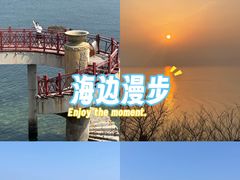 -养马岛旅游度假区