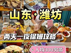 -食鸡公社辣子鸡·潍坊菜·烧烤