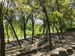 -东方巨龟苑景区