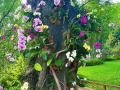 -云溪植物园