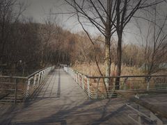 -西湖风景区-江洋畈生态公园