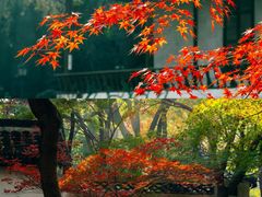 -狼山风景名胜区