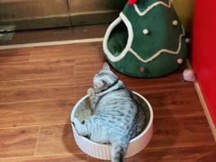 -H立方实景剧情密室(天河旗舰店)