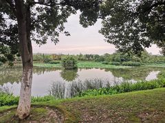 -艾溪湖湿地公园