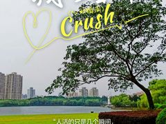 -黄兴公园