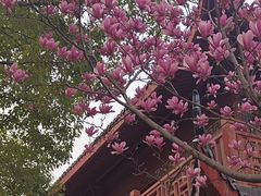 -堤角公园
