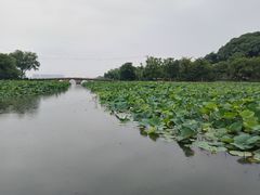 -苏州上方山国家森林公园