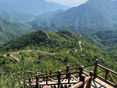 -大岭沟猕猴桃谷风景区