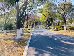 -白塘生态植物园
