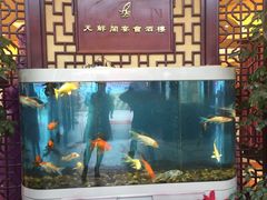 -天鲜阁·海鲜粤菜·33年老字号(石槎白云站店)