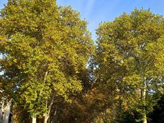 -河南省黄河迎宾馆