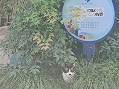 -静安公园(静安寺街道)