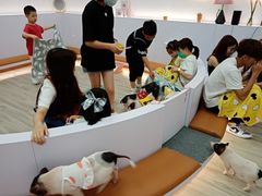 -猪盟咖啡店(玖洲道店)