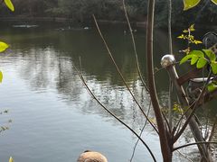 -合肥野生动物园