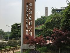 -铁山坪森林公园