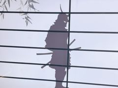 -牛武士寿喜烧·和牛火锅自助(全球首店)