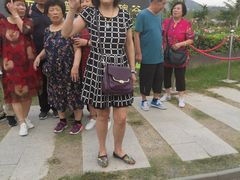 -亚龙湾国际玫瑰谷