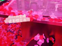 -M-MIX电音烤吧