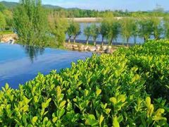 -大连铭湖国际观光牧场