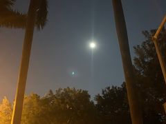 -东莞市虎英郊野公园