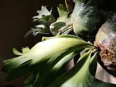 -路易时光(蕴川路店)