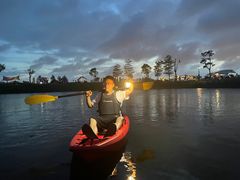 -春花秋色城市公园