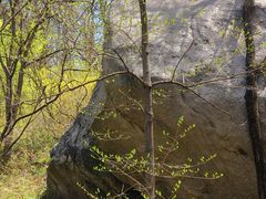 -鲁山国家森林公园