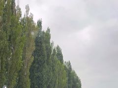 -新疆那拉提国家旅游度假区